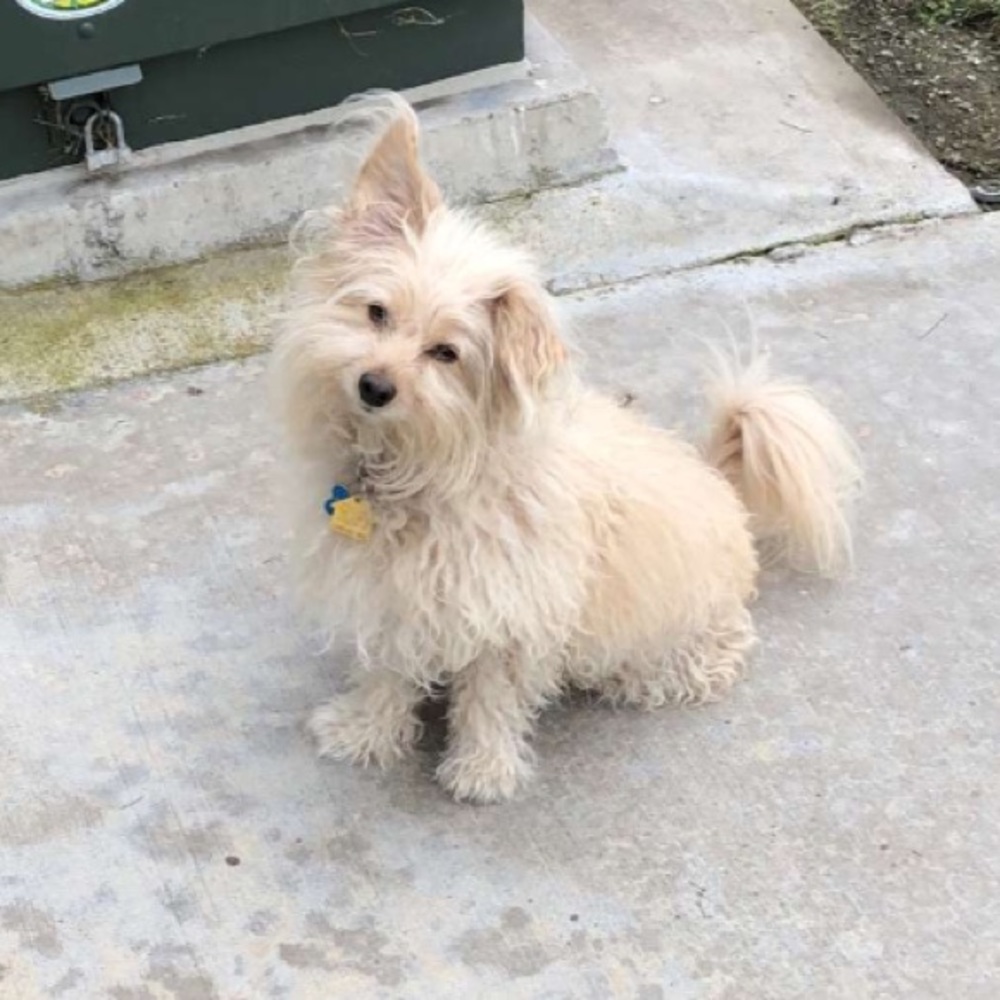 Meet your Posher, Jenna